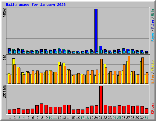 Daily usage for January 2026