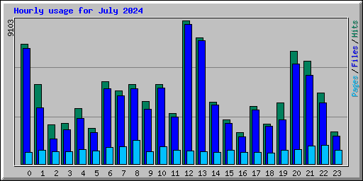 Hourly usage for July 2024