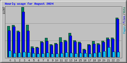 Hourly usage for August 2024