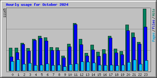 Hourly usage for October 2024