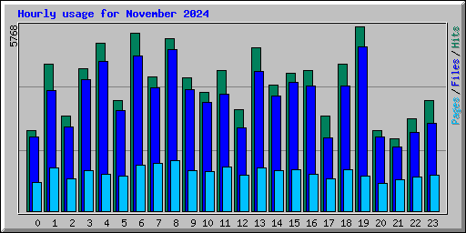 Hourly usage for November 2024