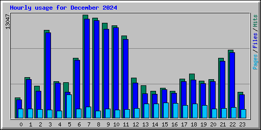 Hourly usage for December 2024