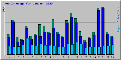 Hourly usage for January 2025