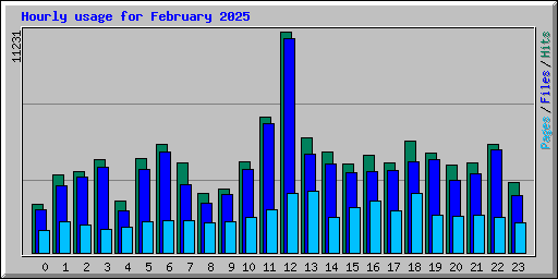 Hourly usage for February 2025