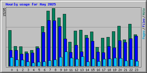 Hourly usage for May 2025