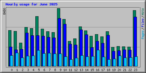 Hourly usage for June 2025