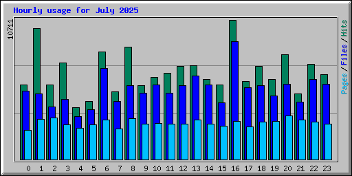 Hourly usage for July 2025