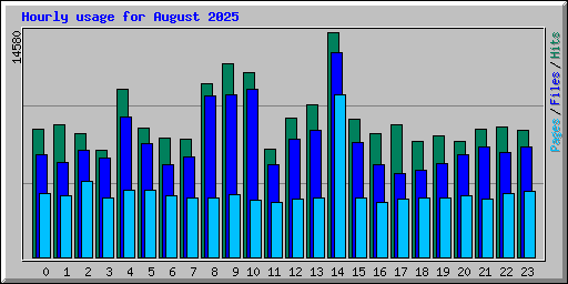 Hourly usage for August 2025