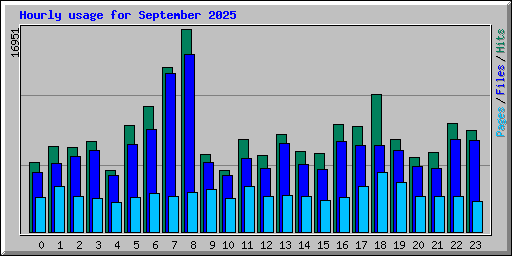 Hourly usage for September 2025