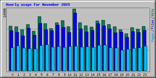 Hourly usage for November 2025