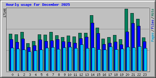 Hourly usage for December 2025