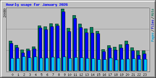 Hourly usage for January 2026