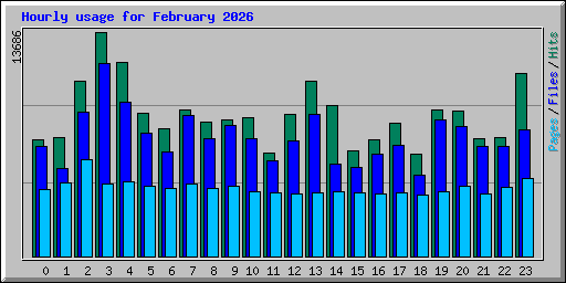 Hourly usage for February 2026