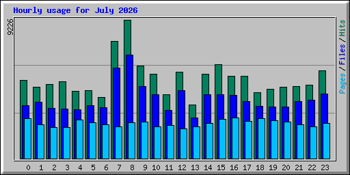 Hourly usage for July 2026