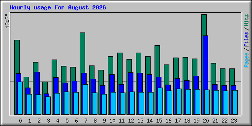 Hourly usage for August 2026